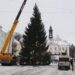 Фото: в Тарту привезли рождественскую ёлку