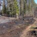 Весенние пожары: спасатели ликвидировали десятки возгораний в Южной Эстонии